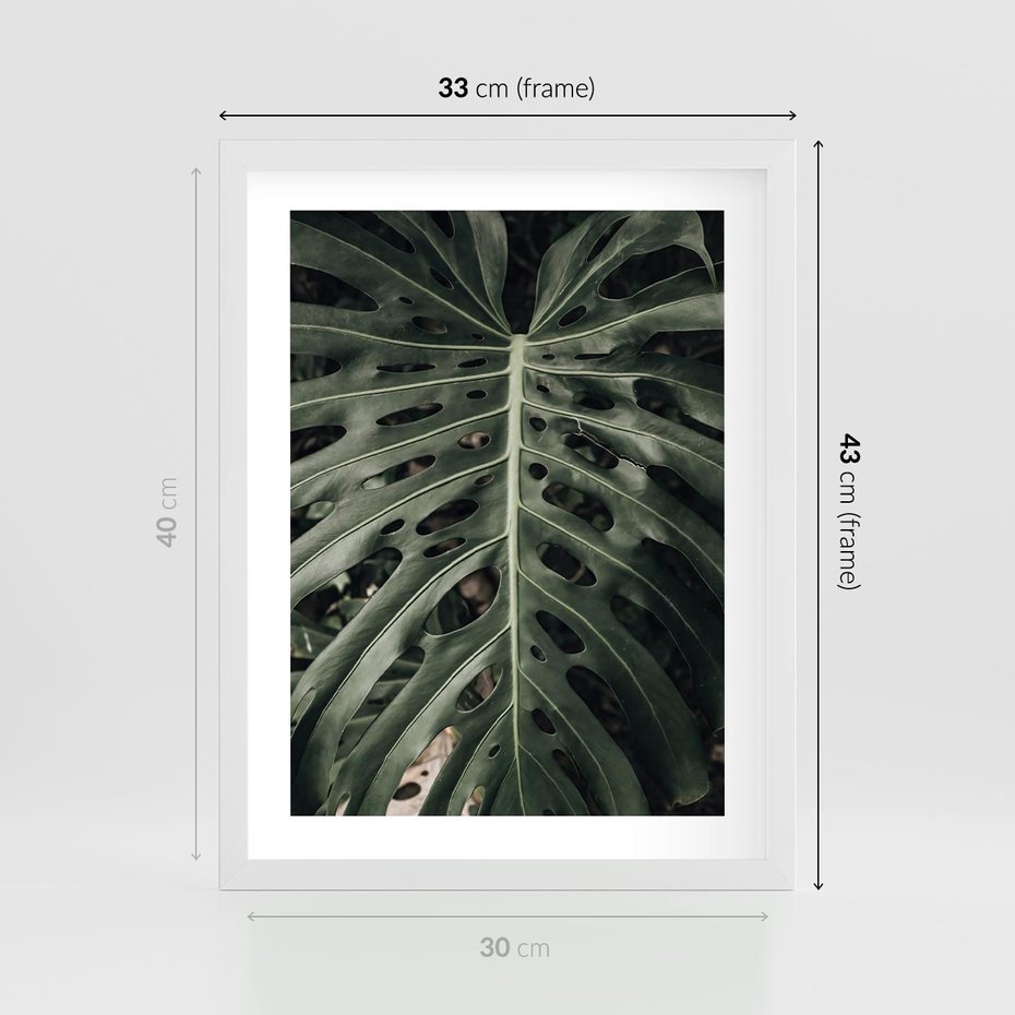 Plakat w ramie 30x40 - Majestatyczny Liść Monstery - liść monstery, majestatyczny liść - rama biała