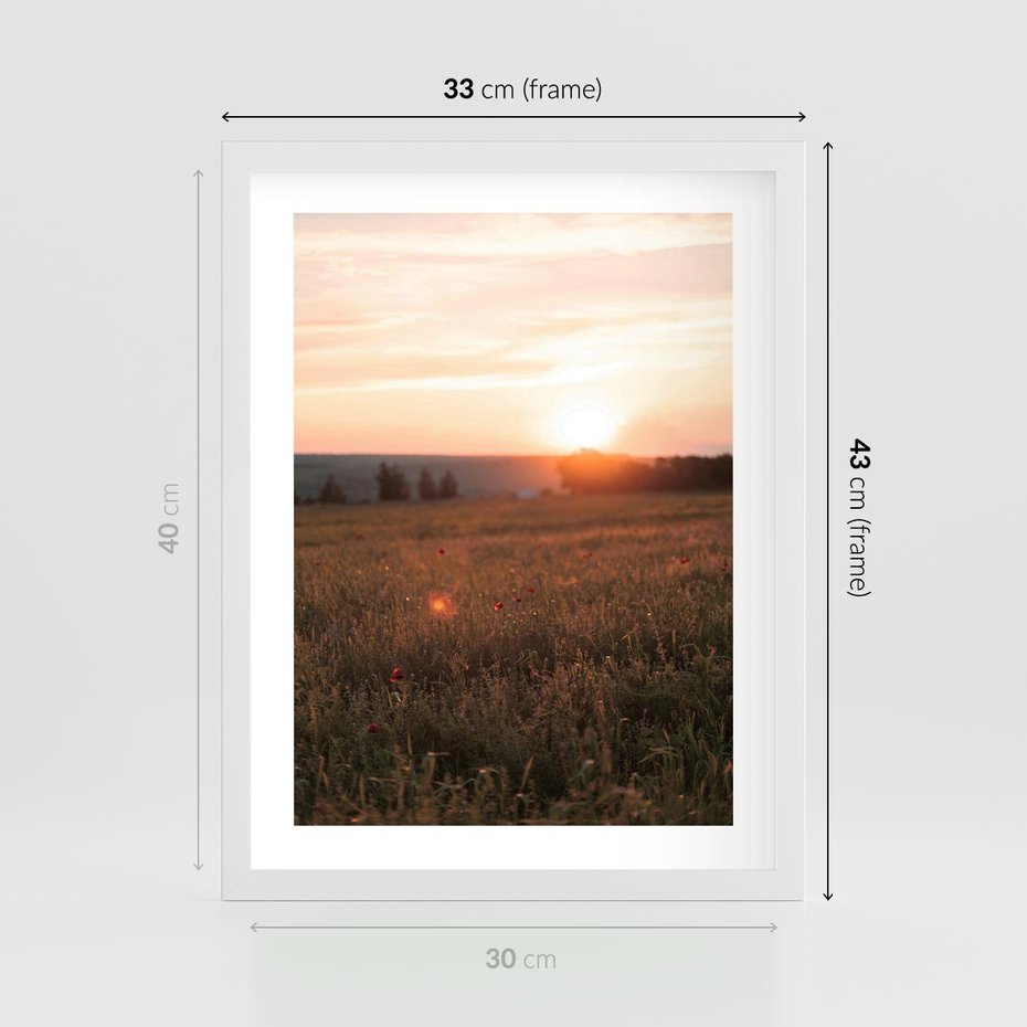 Plakat w ramie 30x40 - Łąka we Wschodzącym Słońcu: Magia Poranka - łąka, krajobraz - rama biała