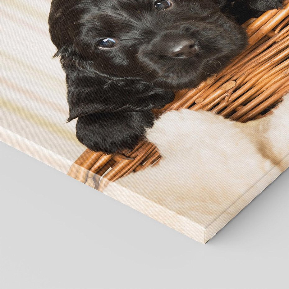 Obraz na płótnie 60x60 - Uroczy szczeniak w akcji - piesek, szczeniak