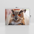 Obraz na płótnie 120x80 - Mądra sowa w locie - sowa, ptak