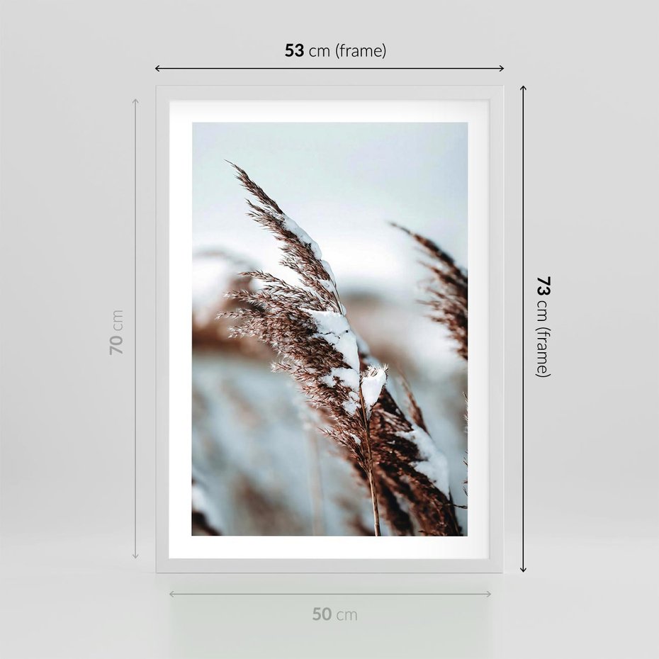 Plakat w ramie 50x70 - Zima na Suchych Trawach - suche trawy, śnieg wysokich na trawach - rama biała