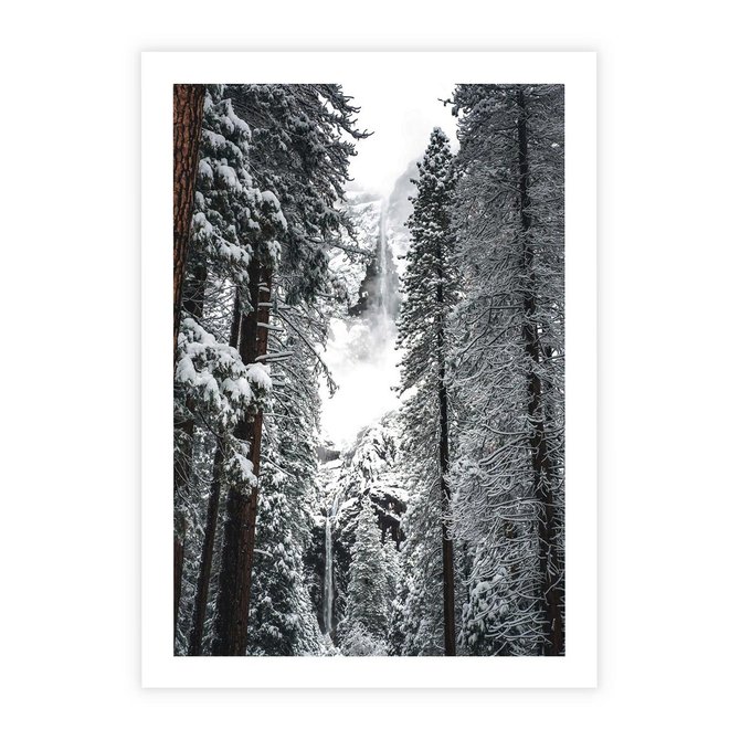 Plakat bez ramy 30x40 - Cicha Magia Zimowego Lasu - zimowy las, ośnieżone drzewa