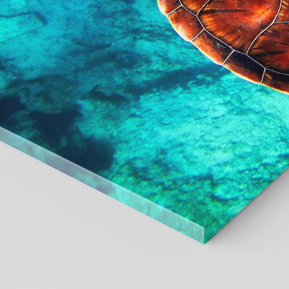 Obraz na płótnie 140x70 - Morze, fale i skały - żółw, morze