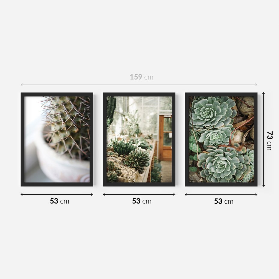 Zestaw obrazy w ramie 50x70 galeria - Sukulenty, kaktusy, boho, kwiaty - rama czarna