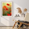 Plakat w ramie 40x50 - Makowa Pasja - maki, kwiaty - rama drewno