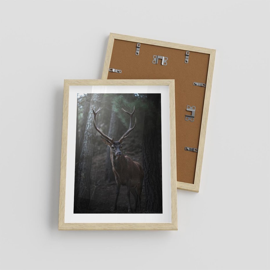 Plakat w ramie 30x40 - Jeleń wśród lasu - jeleń, las - rama drewno