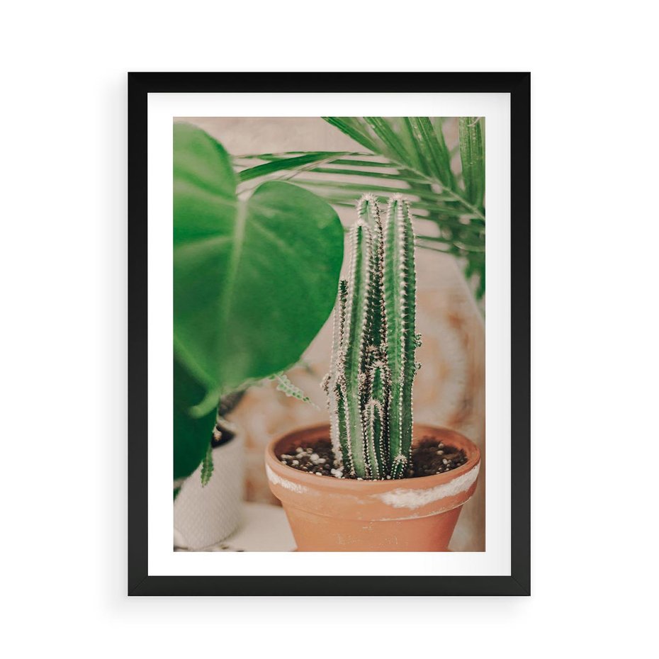 Plakat w ramie 50x70 - Boho Urok - kaktus w doniczce, gliniana doniczka - rama czarna