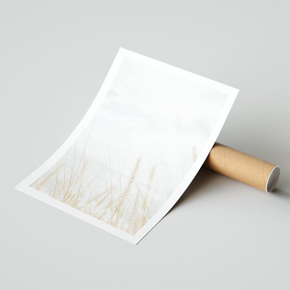 Plakat bez ramy 30x40 - Jasna Delikatność: Fotografia Suchych Traw - suche trawy, jasna fotografia