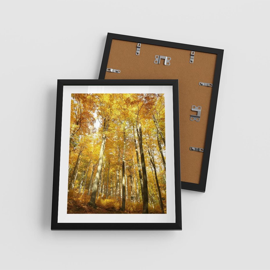 Plakat w ramie 40x50 - Jesienny Las - Kolorowa Paleta Natury - jesień, drzewa - rama czarna