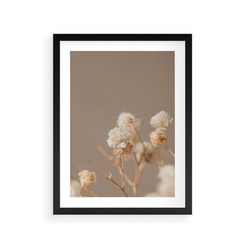 Plakat w ramie 50x70 - Przezroczyste piękno - gipsówka, suche - rama czarna