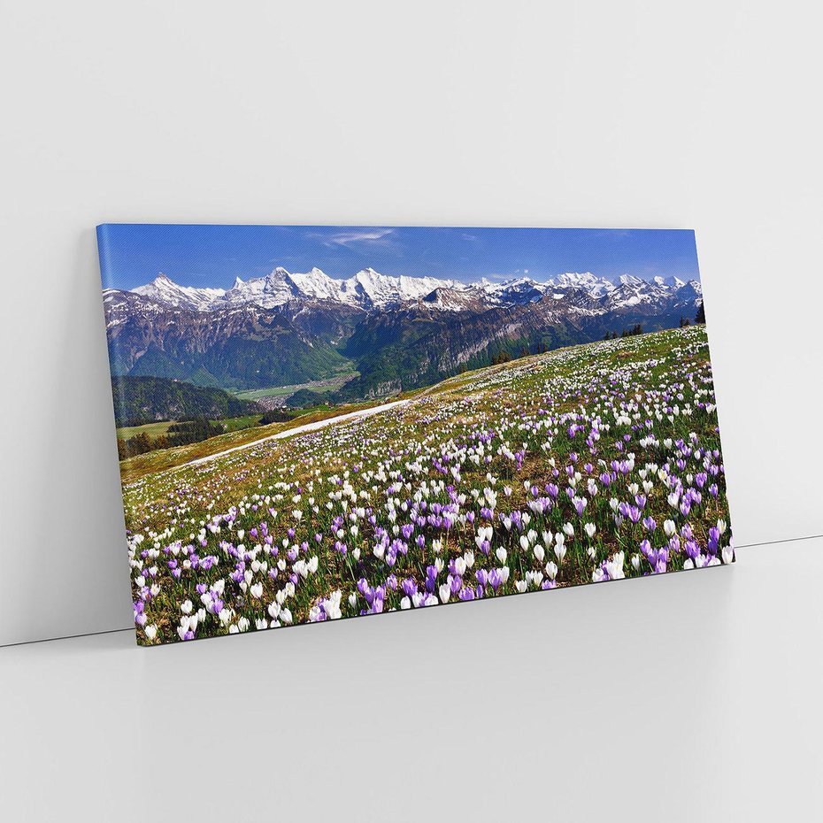 Obraz na płótnie 140x70 - Wiosenne Czarowanie - krokusy, góry