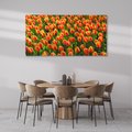 Obraz na płótnie 120x60 - Tulipanowa eksplozja - tulipany, kwiaty