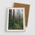 Plakat w ramie 50x70 - Mgliste Marzenia - artystyczna fotografia, las - rama drewno