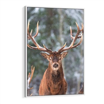 Obraz w ramie 80x120 - Monarcha Zimowej Dziczy - jeleń, zima - rama biała