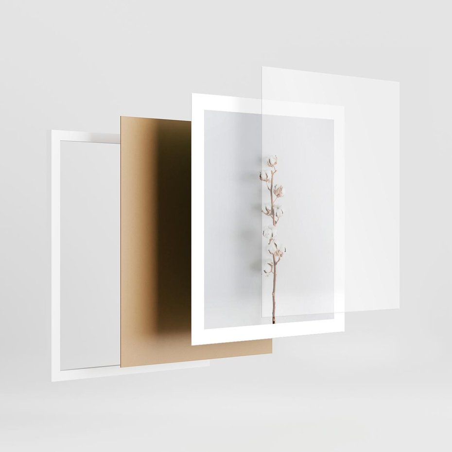 Plakat w ramie 40x50 - Minimalistyczna Gałązka Bawełny - bawełna, gałązka bawełny - rama biała