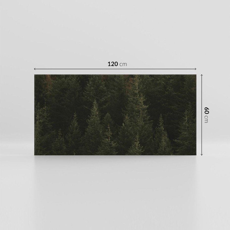 Obraz na płótnie 120x60 - Ciemny las iglasty - las, iglasty