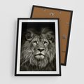 Plakat w ramie 50x70 - Moc lewego spojrzenia - lew, czarno - rama czarna