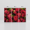 Obraz na płótnie 120x80 - Piękno róż: delikatność natury - róże, kwiaty