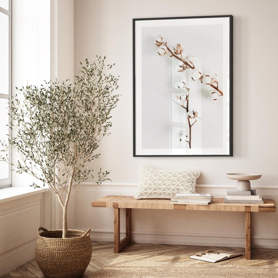 Plakat w ramie 50x70 - Gałęzie Bawełny na Białym Tle - gałęzie bawełny na białym tle, minimalizm - rama czarna