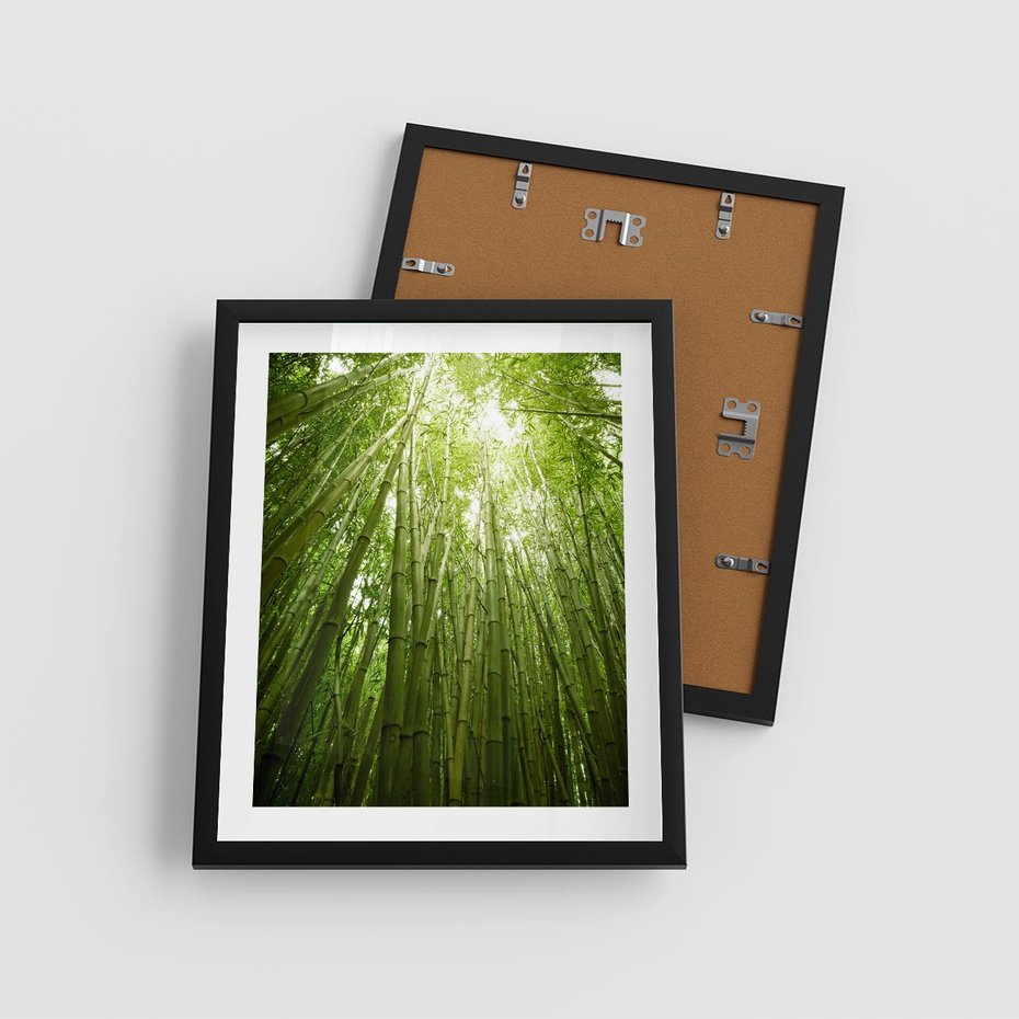 Plakat w ramie 40x50 - Siła Natury - drzewa, las - rama czarna