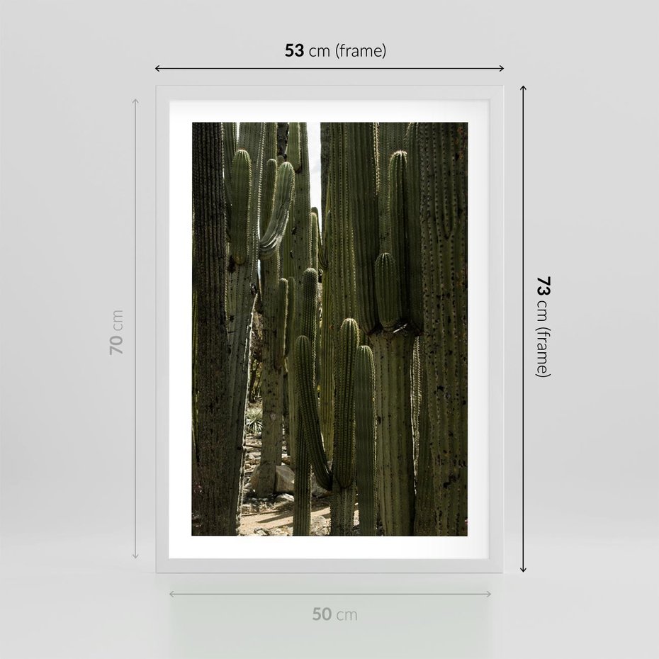 Plakat w ramie 50x70 - Wyjątkowy Klimat Boho - kaktusy, pustynia - rama biała