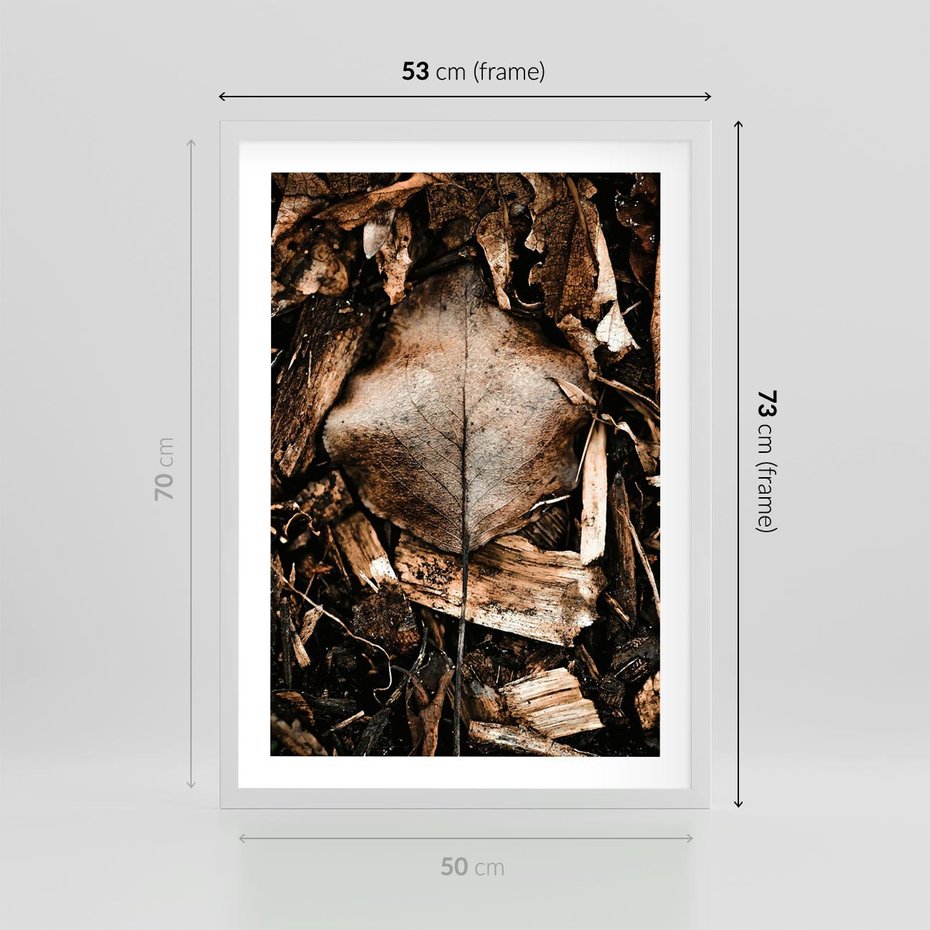 Plakat w ramie 50x70 - Samotny Liść - liść, brąz - rama biała