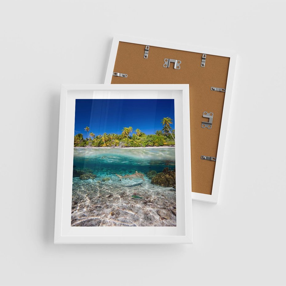 Plakat w ramie 40x50 - Tropikalne Morze i Kolorowa Rafa - tropikalne, morze - rama biała