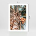 Plakat bez ramy 50x70 - Tropikalna Palma: Fotografia z Kokosami - palma kokosowa, kokosy