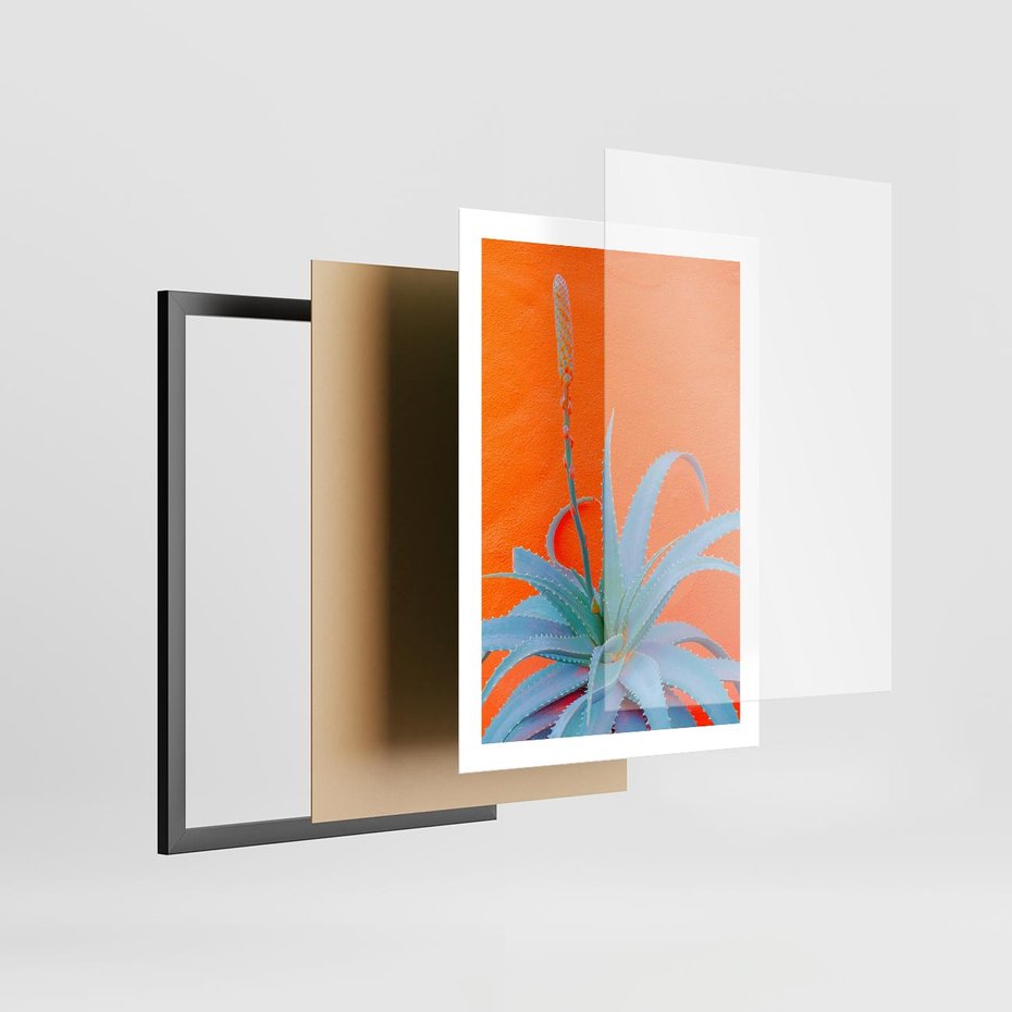 Plakat w ramie 50x70 - Naturalna Harmonia - kaktusy, liście - rama czarna