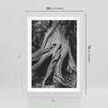 Plakat w ramie 50x70 - Siła Natury - czarno biała fotografia, korzenie wielkiego drzewa - rama biała