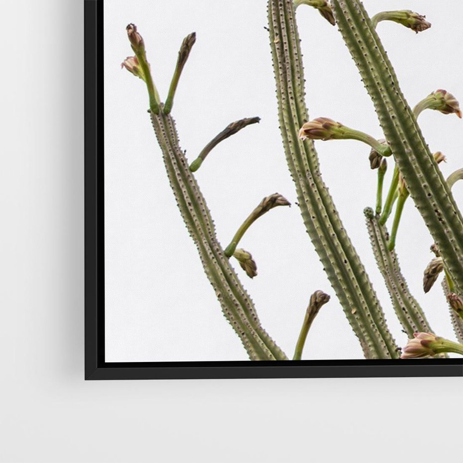 Obraz w ramie 100x70 - Ekskluzywna Roślinność - kaktusy, liście - rama czarna
