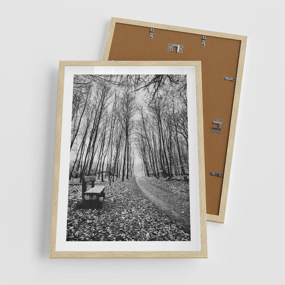 Plakat w ramie 50x70 - Spadające Liście - czarno białe zdjecie, park - rama drewno