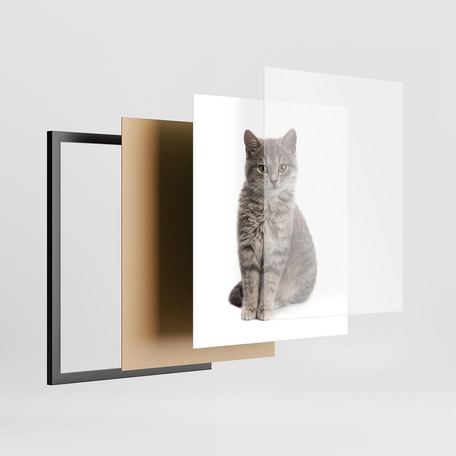 Plakat w ramie 40x50 - Kocie uroki na płótnie - kot, kotek - rama czarna