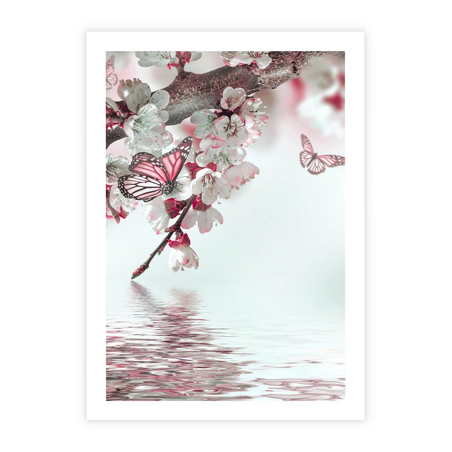 Plakat bez ramy 40x50 - Kwiatowa baśń z motylami - kwiaty, motyle