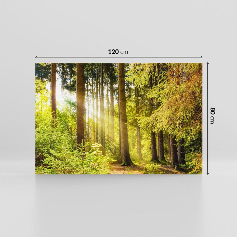 Obraz na płótnie 120x80 - Mistyka lasu - las, drzewa