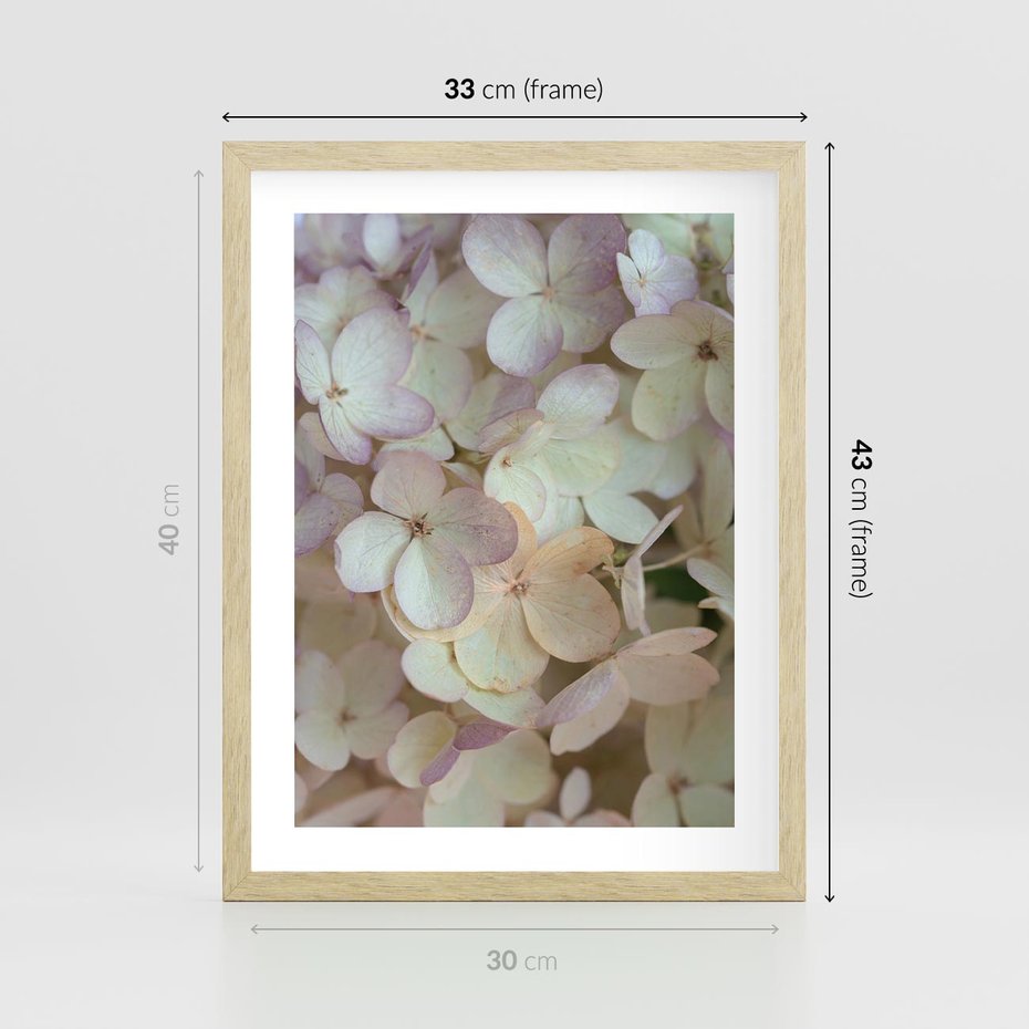 Plakat w ramie 30x40 - Kwiatowy taniec - kwiaty, hortensje - rama drewno