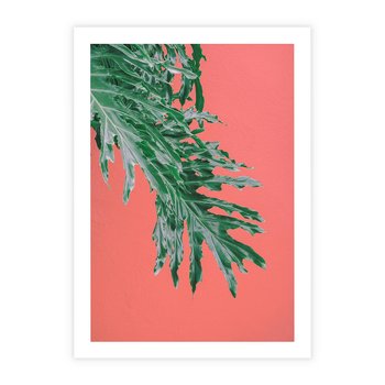 Plakat bez ramy 21x30 - Energetyczna Eksplozja Natury - liście, kolor