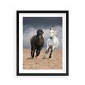 Plakat w ramie 40x50 - Siła koni w galopie - konie, galop - rama czarna