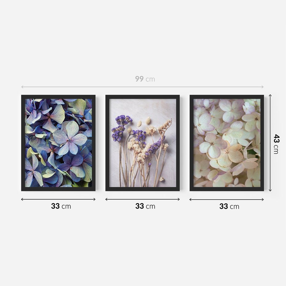 Zestaw obrazy w ramie 30x40 galeria - Suche, kwiaty, hortensje, boho - rama czarna