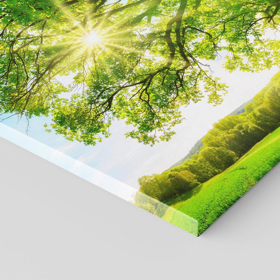 Obraz na płótnie 120x80 - Natura w pełnym rozkwicie - drzewo, niebo