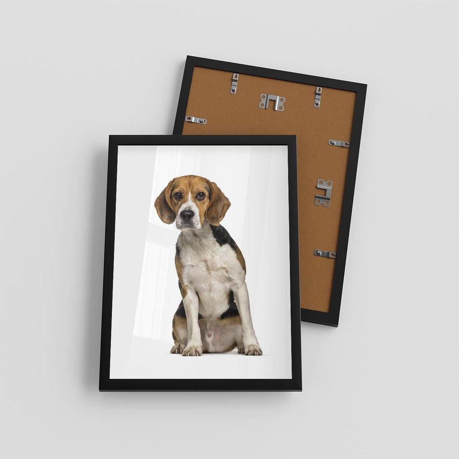 Plakat w ramie 30x40 - Wierność i radość - pies, piesek - rama czarna