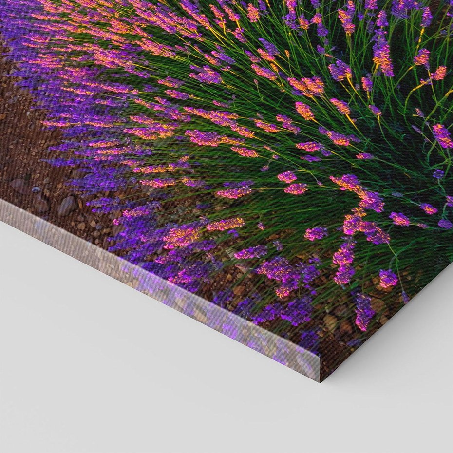 Obraz na płótnie 50x70 - Fioletowa Magia - pole, lawendy