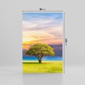 Obraz na płótnie 80x120 - Drzewo, Morze, Trawa - Naturalna Harmonia - drzewo, morze