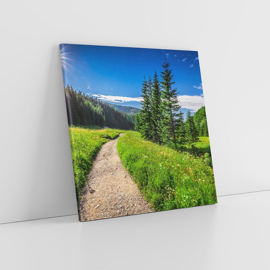 Obraz na płótnie 80x80 - Harmonia natury - góry, łąka