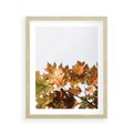 Plakat w ramie 40x50 - Suche Żółte Liście w Malowniczym Ujęciu - liście, żółte - rama drewno
