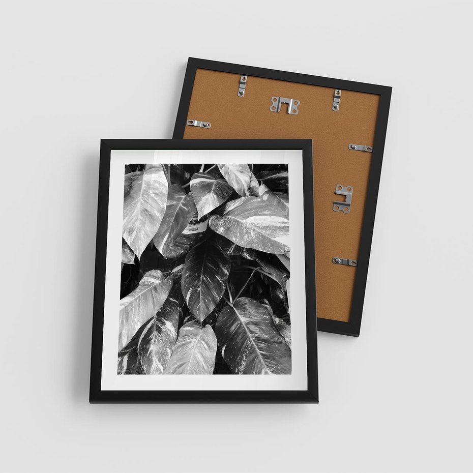Plakat w ramie 40x50 - Liście w Czarno-Białej Fotografii - liście, roślina - rama czarna