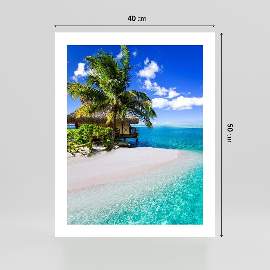 Plakat bez ramy 40x50 - Zaklęte palmy tropików - palmy, ocean