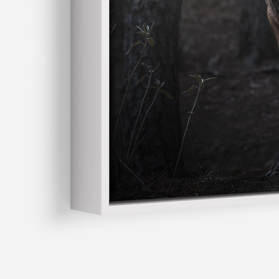 Obraz w ramie 50x70 - Jeleń wśród lasu - jeleń, las - rama biała