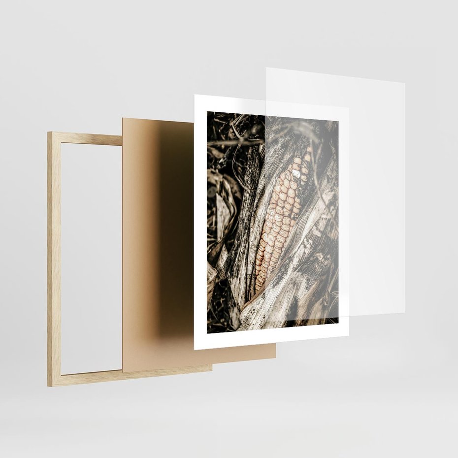 Plakat w ramie 40x50 - Kukurydza w Jesiennej Scenie - kukurydza, jesień - rama drewno