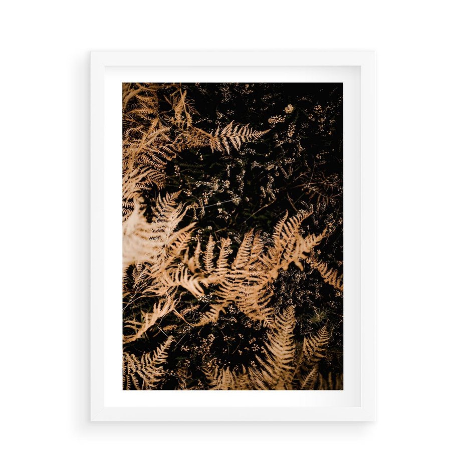 Plakat w ramie 50x70 - Jesienne Paprocie: Kolorowa Paleta Natury - paprocie, jesień - rama biała